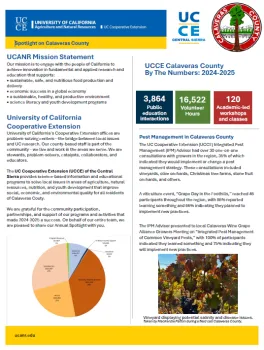 screenshot of front page of report