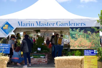 Master Gardener booth at the Marin County Fair