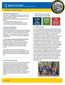 screenshot of front page of report, which is accessible at the link below