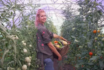 farmer stands in a greenhouse surrounded by lush tomatoes, holding a basket of mixed produce just harvested