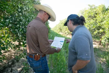 a ucanr community educator stands in an orchard next to a farmer; they inspect a clip board together