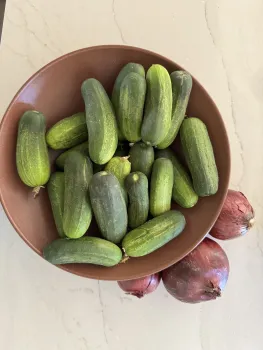 over a dozen small bumpy cucumbers in a bowl, three small red onions on the table outside the bowl