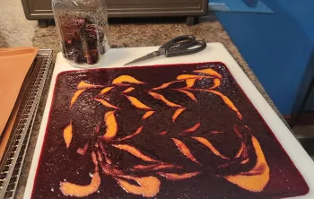 a rectangle of dehydrated berry and apricot puree on a cutting board next to a pair of scissors