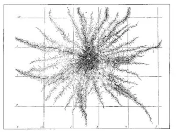 beautiful diagram re-creates the pattern (seen from above) of corn roots growing in the top six inches of soil. From Root Development of Vegetable Crops, by John Weaver & William Bruner. 1927. Pages 30-31.