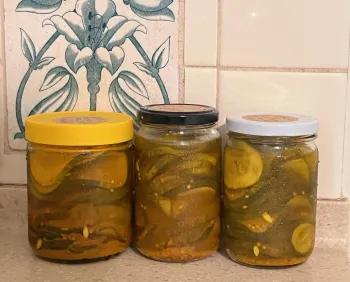 These bread & butter pickles will be stored in the refrigerator; no canning process required. J.C. Lawrence