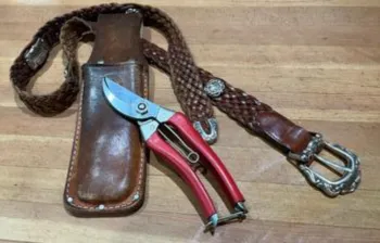 Japanese-made pruners, ARS-120-S and their case