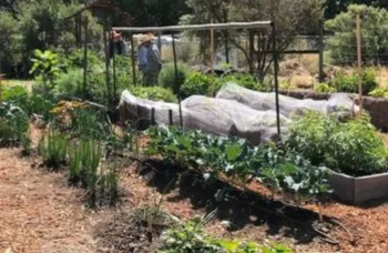 Marin Master Gardener No Dig Edible Demonstration Garden at the Indian Valley Organic Farm and Garden