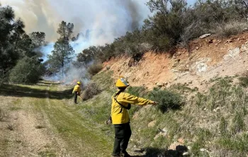 Two people conducting a prescribed fire in the Central Coast's interior coast range region.
