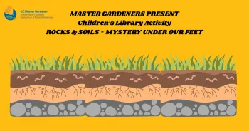 Rocks and soils library class for children