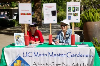 UC Marin Master Gardeners staffing a help desk at its annual Tomato Market