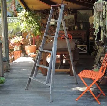 a three-legged orchard ladder