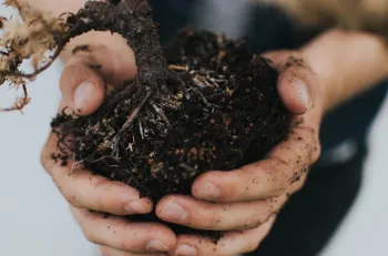 hands holding dark soil
