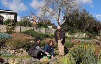 people kneeling in a garden looking at plants