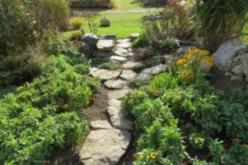 stone pathway between garden beds