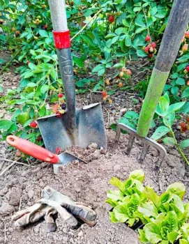 Display of Tools Used to Prepare Soil For Planting
