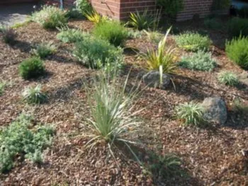 a neatly cleaned perennial bed with a new layer of mulch