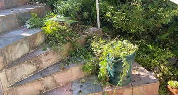 bushels of weeds removed from garden beds