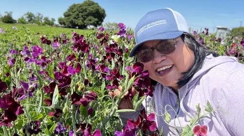 A smiling Fam Lee leans into flowers amid a field
