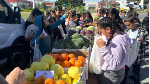Students select colorful fresh produce from boxes to take home in bags
