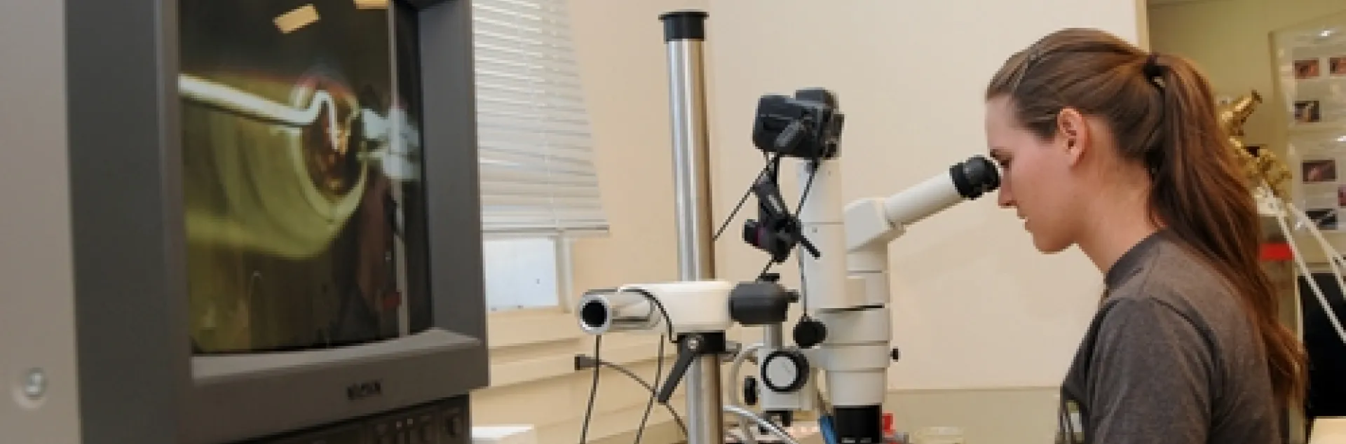 QUEEN BEE INSEMINATION is intricate work. Here college student Joy Pendell of Pendell Apiaries, Stonybrook, gets it right the first time. She was enrolled in Susan Cobey's August 2009 class. (Photo by Kathy Keatley Garvey)