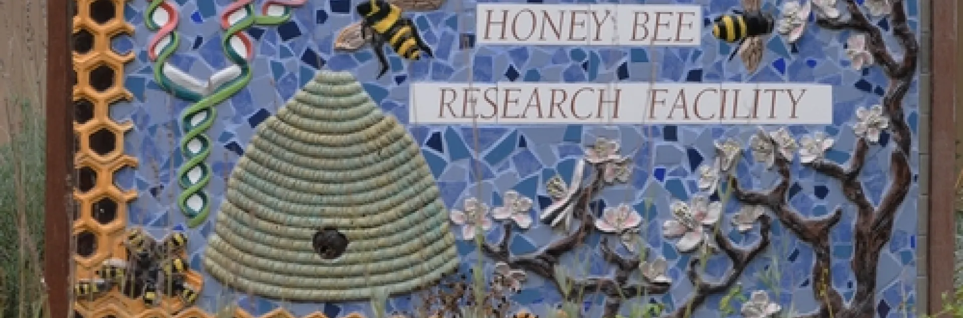 THIS SIGN at the entrance to the Harry H. Laidlaw Jr. Honey bee Research Facility is the work of Davis artist Donna Billick. The hole in the skep leads to a bee hive attached to the back of the sign. (Photo by Kathy Keatley Garvey)