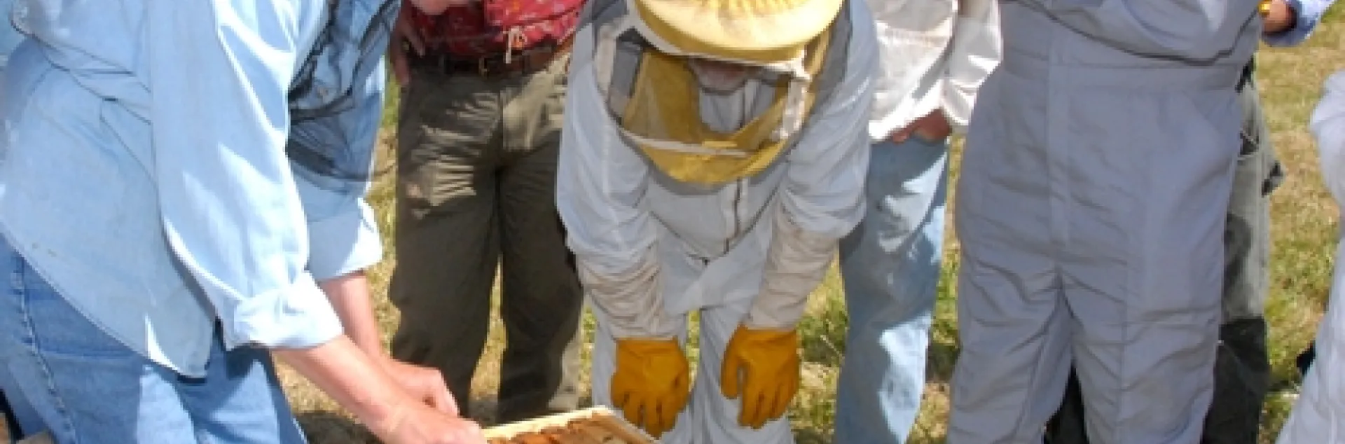 SUSAN COBEY (far left), bee breeder-geneticist and manager of the Harry H. Laidlaw Jr. Honey Bee Research Facility at the University of California, Davis, with a recent class on queen bee-rearing. (Photo by Kathy Keatley Garvey)