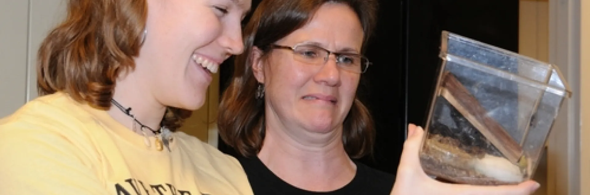 UC DAVIS graduate students Emily Bzdyk (left) and Fran Keller show different reactions to the cockroaches at the Bohart Museum of Entomology. Keller admits to liking other insects better; she's working on beetles for her doctorate. (Photo by Kathy Keatley Garvey)