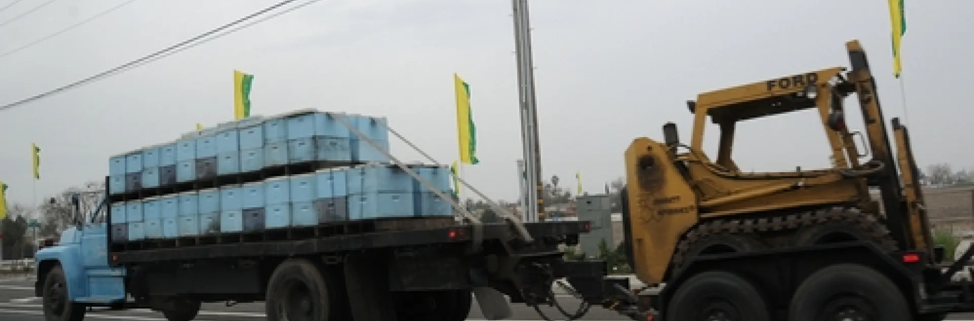 A SURE SIGN OF SPRING--A truck loaded with bee hives tows a forklift as it travels through Sacramento. The forklift will alleviate the movement and placement of the hives in a soggy orchard. (Photo by Kathy Keatley Garvey)