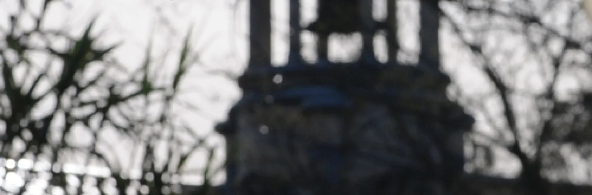 ICELAND POPPIES provide color to the backdrop of the old Town Hall in Vacaville, Calif. (Photo by Kathy Keatley Garvey)
