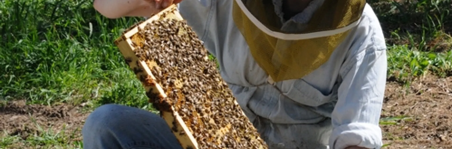 UC DAVIS BEEKEEPER Elizabeth "Liz" Frost tends bees at the Harry H. Laidlaw Jr. Honey Bee Research Facility. (Photo by Kathy Keatley Garvey)