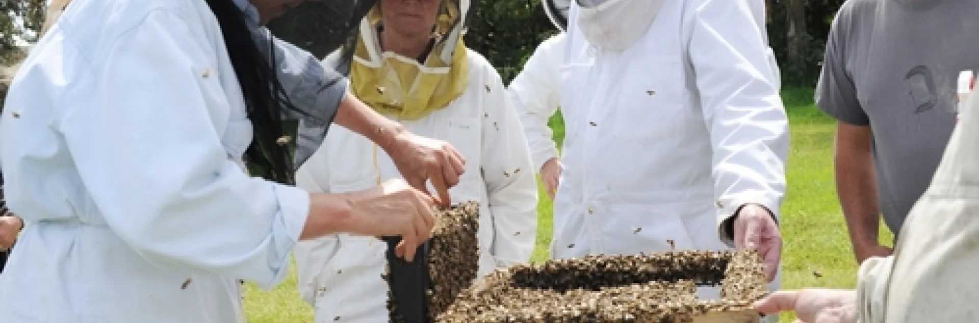 BEE BREEDER-GENETICIST Susan Cobey (left) shows a hive to the students in her queen bee-rearing class. (Photo by Kathy Keatley Garvey)