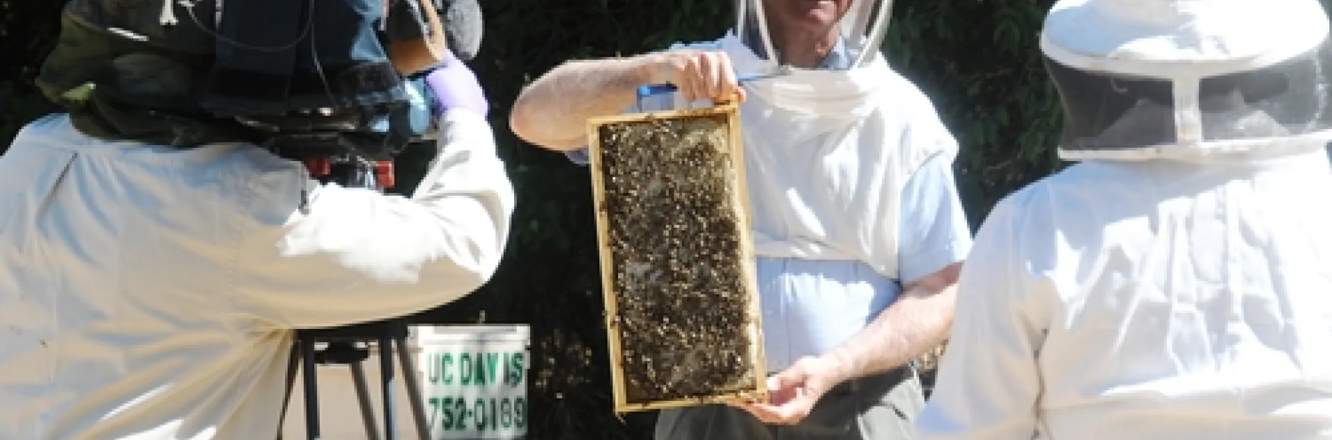 NEWS REPORTER Dea Diamont (right) of KCRA TV, Channel 3, Sacramento interviews Extension apiculturist Eric Mussen (center) of UC Davis Department of Entomology at the Harry H. Laidlaw Jr. Honey Bee Research Facility, UC Davis. At left is KCRA news photographer Brian Fong. (Photo by Kathy Keatley Garvey)