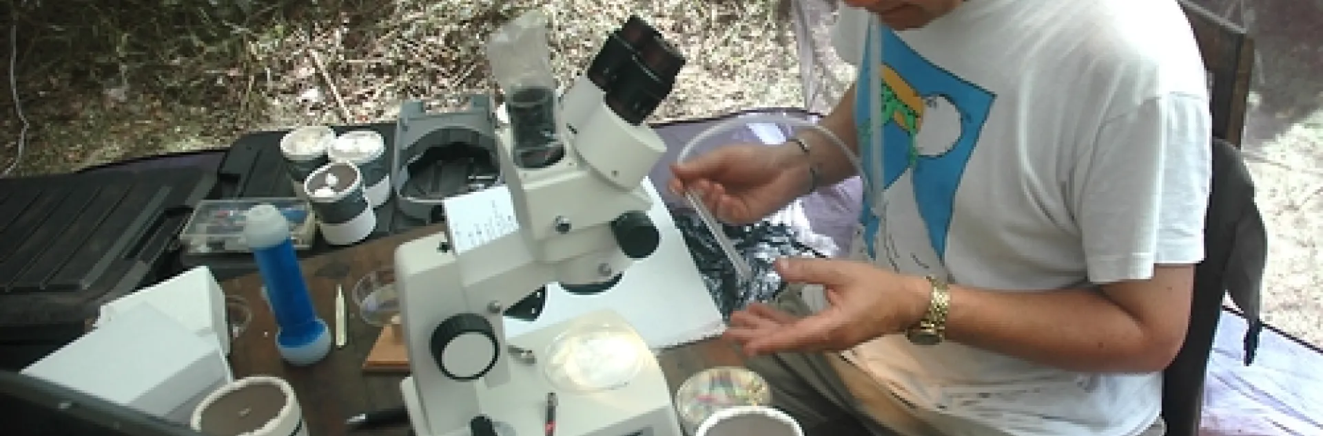 MOSQUITO RESEARCHER Anthony "Anton" Cornel of UC Davis collected and established the colony of Culex quinquefasciatus mosquitoes that was sequenced. Here he's shown working in a field tent identifying mosquitoes in Cameroon. (Photo by Kevin N'Gabo)