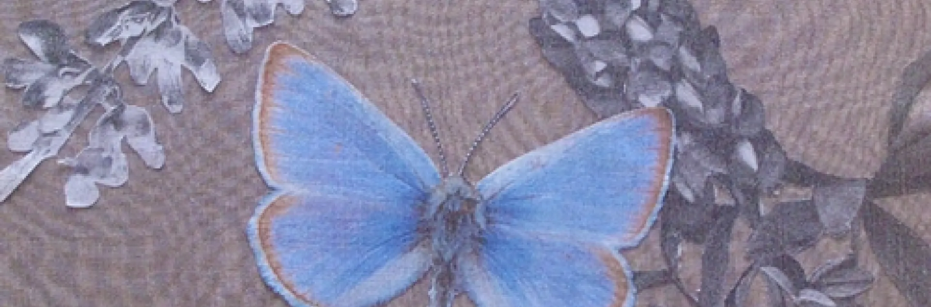 THIS PIECE, "Disappearing Mission Blue," by visual artist Carol Newborg of the San Francisco Bay Area is one of the ecoart works displayed this weekend in the Marin Civic Center Auditorium and Exhibit Hall, San Rafael. Entrance to the show, which continues through Sunday, is free.