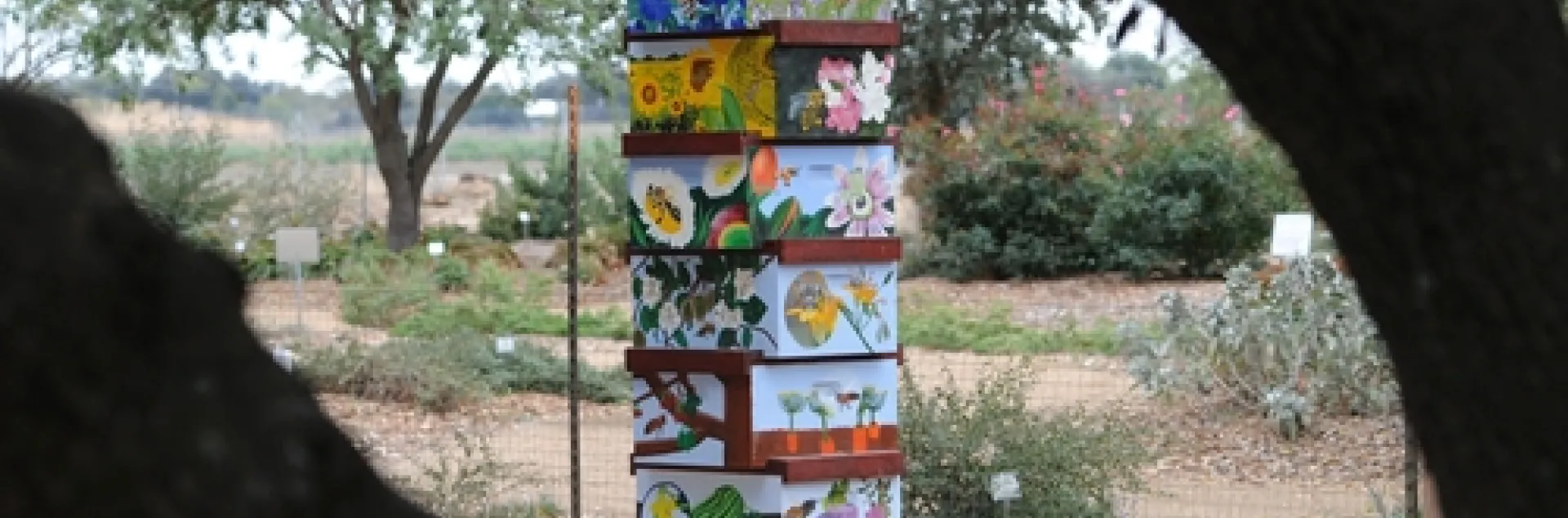 BETWEEN THE BRANCHES--A beehive column, as seen through the branches of an olive tree at the Haagen-Dazs Honey Bee Haven on Bee Biology Road, UC Davis. The bee box (fourth from bottom) shows a honey bee in flight with a close-up below. (Photo by Kathy Keatley Garvey)