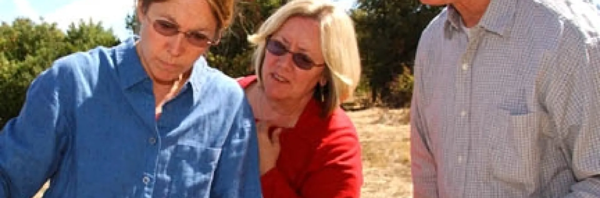 UC Davis bee breeder-geneticist Susan Cobey (far left) and UC Davis apiculturist Eric Mussen look at a bee frame with beekeeper Valerie Severson of Yuba City. (Photo by Kathy Keatley Garvey)