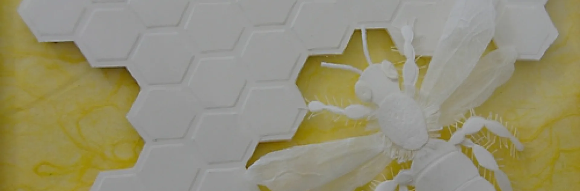 'QUEEN BEE' is a paper sculpture by talented artist Marilyn Judson of Davis. This is a three-dimensional art piece now on display in the Pence Gallery, Davis. The background of this photo was darkened in Photoshop for contrast purposes.(Photo by Kathy Keatley Garvey)