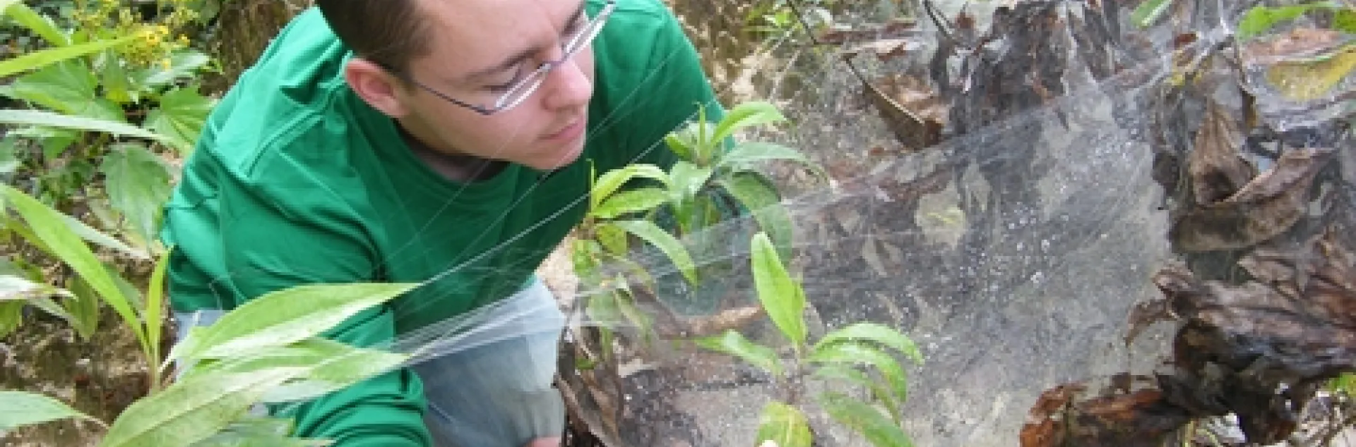 Jonathan Pruitt, postdoctoral fellow at the Center for Population Biology, UC Davis Department of Evolution and Ecology, will speak Jan. 19 on “From Individuals to Populations to Communities: When Does Personality Matter?”