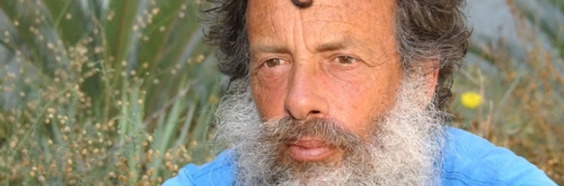 BUTTERFLY GURU Art Shapiro, outside his office at Storer Hall, UC Davis campus. (Photo by Kathy Keatley Garvey)