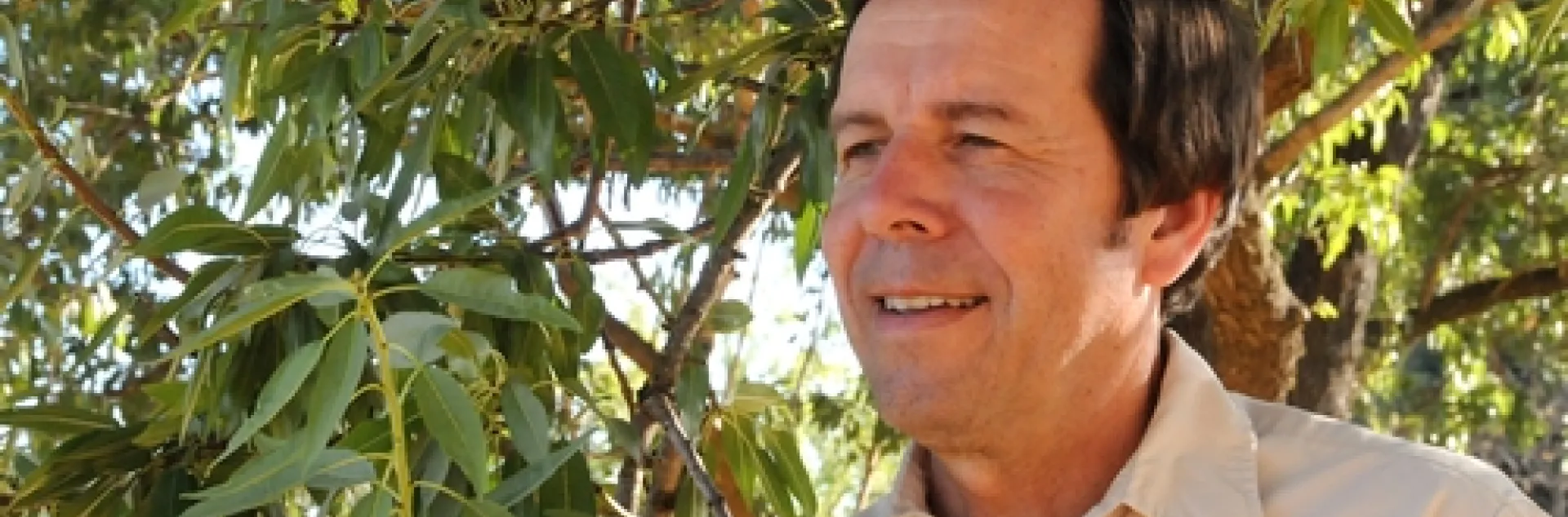 FRANK ZALOM, integrated pest management specialist and professor and former vice chair of the UC Davis Department of Entomology, is the 2011 recipient of the C. W. Woodworth Award. (Photo by Kathy Keatley Garvey)