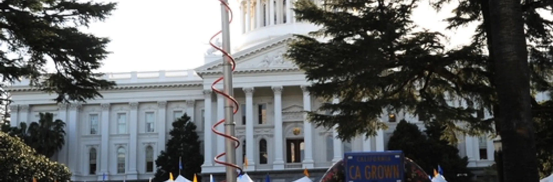 CALIFORNIA AG DAY at the state capitol last year. The annual event heralds in spring. This year's event takes place March 23. (Photo by Kathy Keatley Garvey)