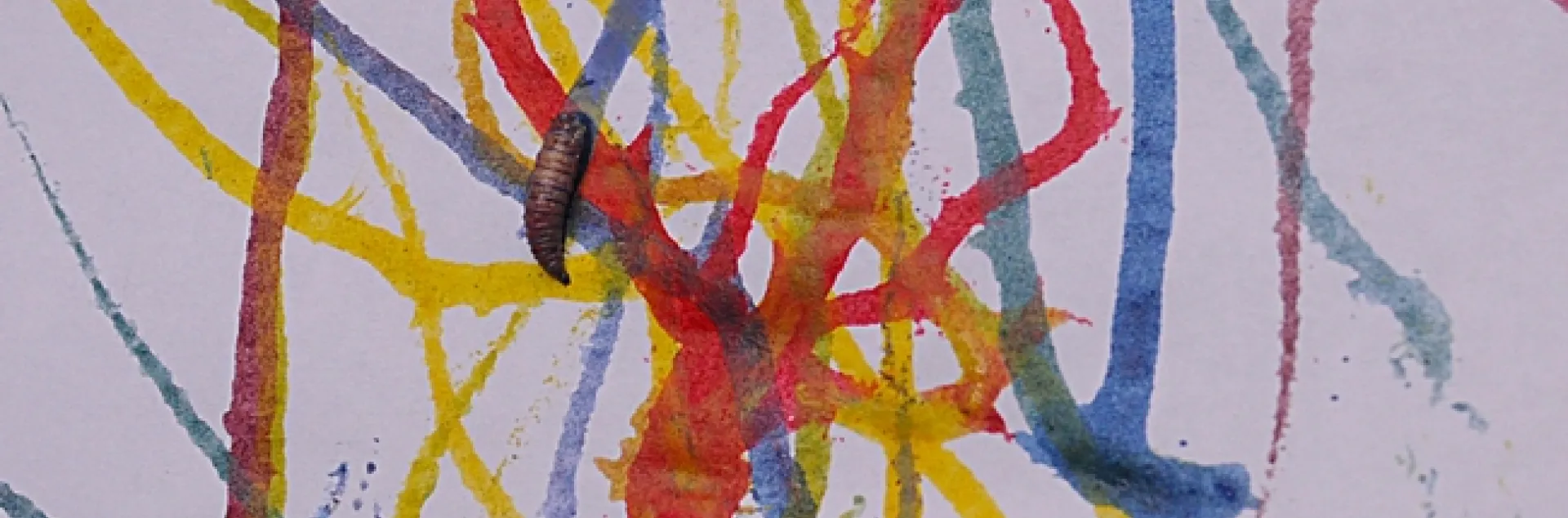 This work, Maggot Art, is by entomologist/artist Diane Ullman. (Photo by Kathy Keatley Garvey)