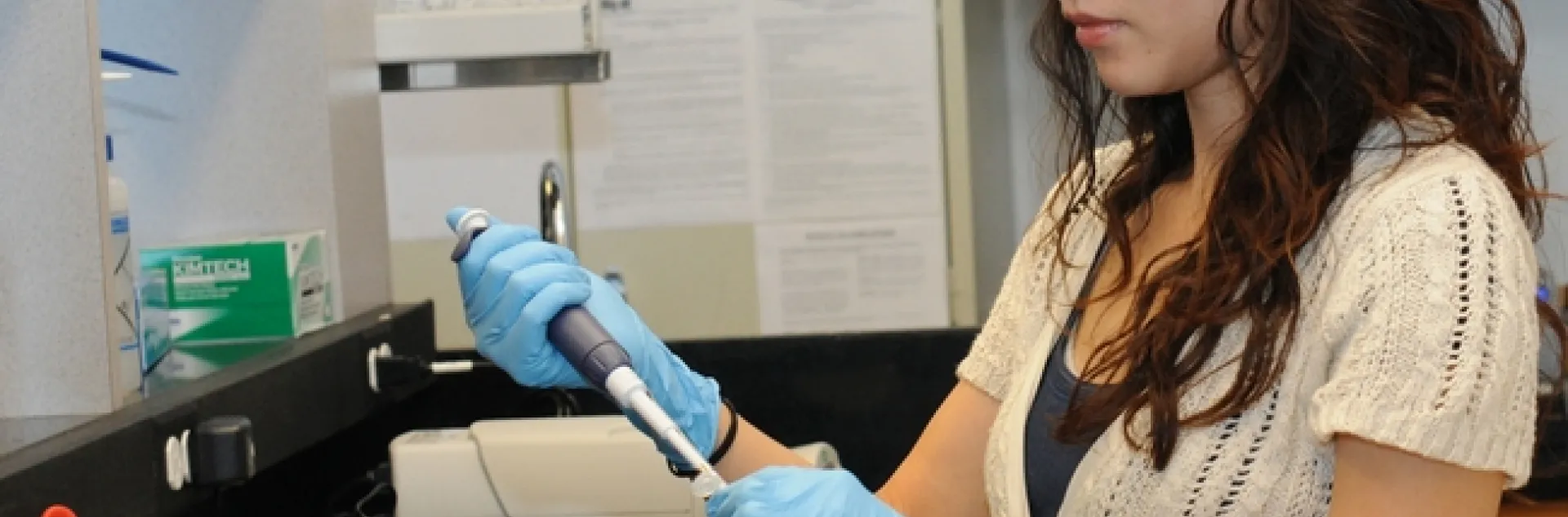Molecular geneticist Joanna Chiu at work in her lab at UC Davis. (Photo by Kathy Keatley Garvey)