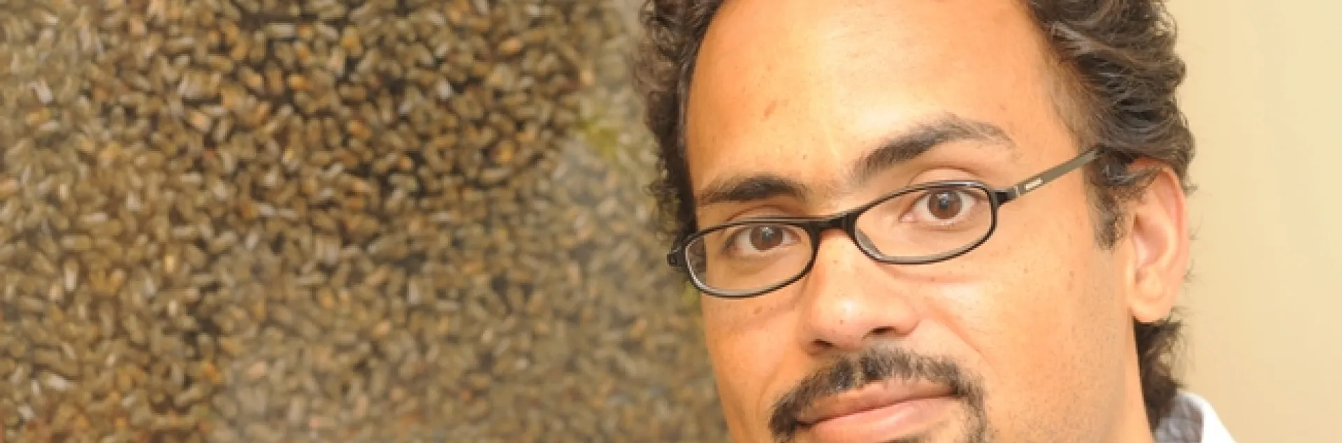 Brian Johnson, who specializes in behavior, genetics and evolution of honey bees, has joined the UC Davis Department of Entomology faculty. (Photo by Kathy Keatley Garvey)