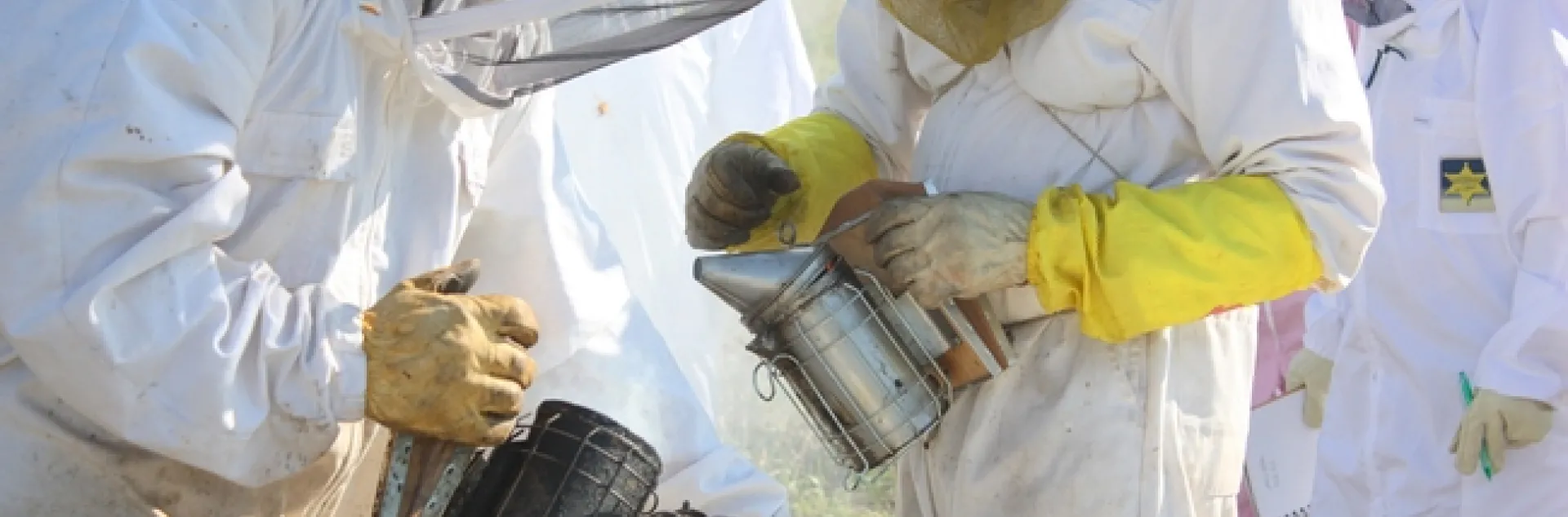 Beekeeper John Miller (right, with yellow gloves and smoker) tending his hives. Copyrighted photo, 2010, by Melody Owen, used with permission.