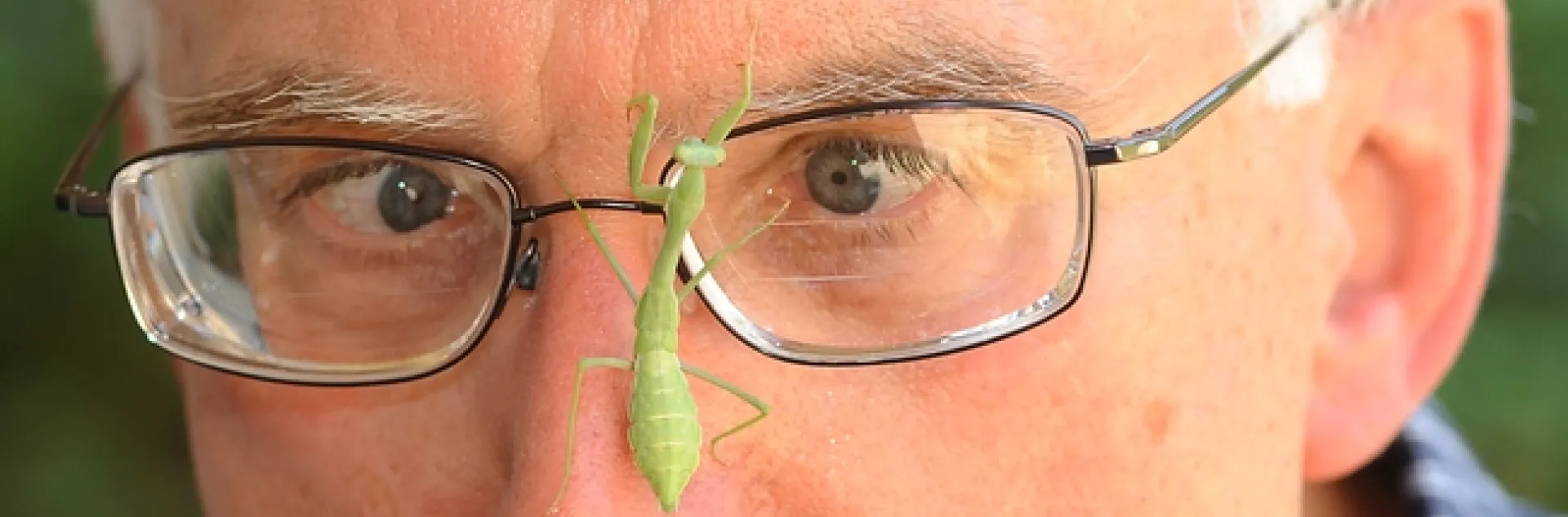 Extension apiculturist Eric Mussen of the UC Davis Department of Entomology peers at a praying mantis. (Photo by Kathy Keatley Garvey)