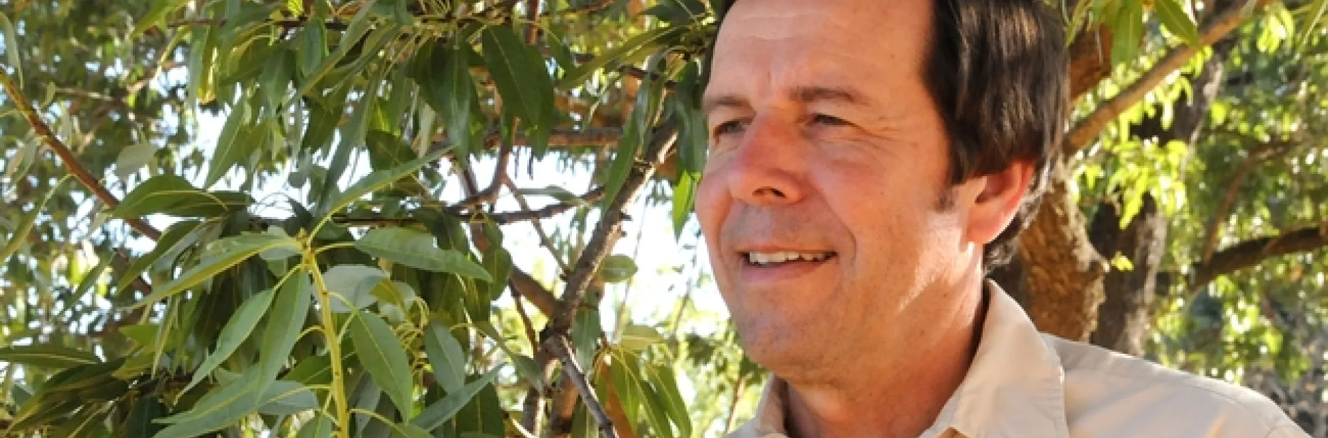 IPM specialist Frank Zalom. (Photo by Kathy Keatley Garvey)