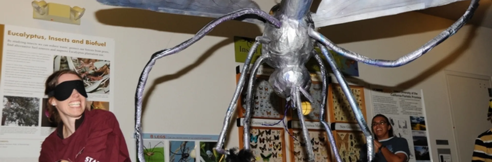 Whack! Tabatha Yang, the Bohart Museum's education and outreach coordinator, takes aim at a mosquito pinata. (Photo by Kathy Keatley Garvey)