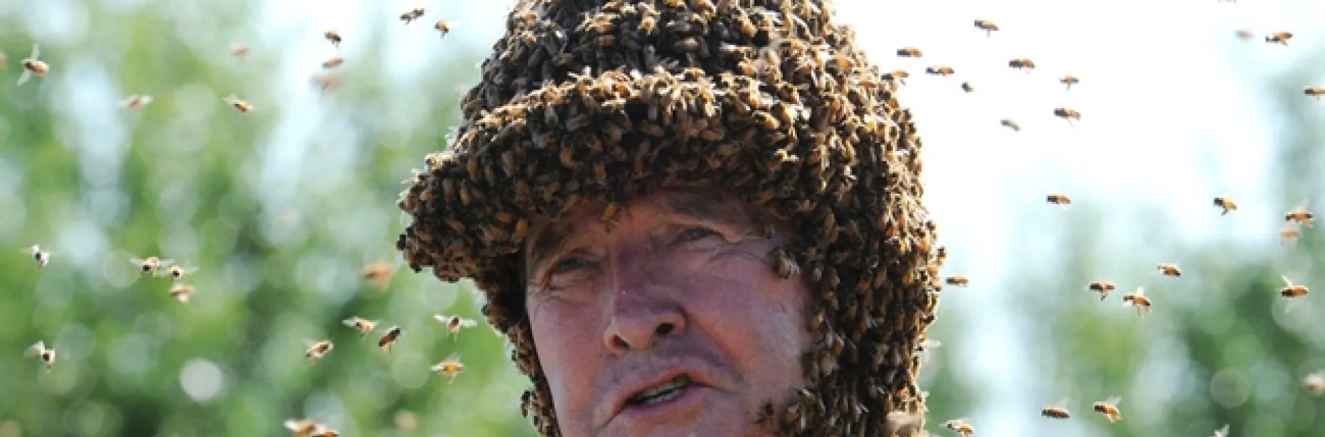 Apiculturist/bee wrangler Norman Gary, emeritus professor of entomology at UC Davis. (Photo by Kathy Keatley Garvey)