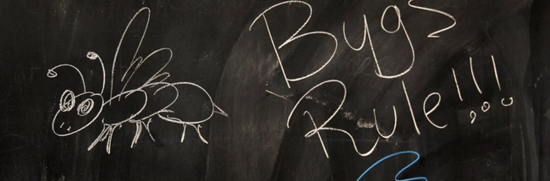 This was scrawled on a Briggs Hall blackboard during an annual UC Davis Picnic Day. (Photo by Kathy Keatley Garvey)